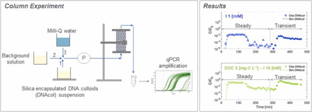 Kianfar, B.,Hassanizadeh, S. M., Abdelrady, A., Bogaard, T. & Foppen, J.W. (2023) Natural organic matter and ionic strength (CaCl2) affect transport, retention and remobilization of silica encapsulated DNA colloids (DNAcol) in saturated sand columns. Colloids and Surfaces A: Physicochemical and Engineering Aspects, 2023, 132476, ISSN 0927-7757, https://doi.org/10.1016/j.colsurfa.2023.132476.