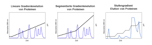 Gradientenelutionen Beispiele: Linearer Gradient und Stufengradienten